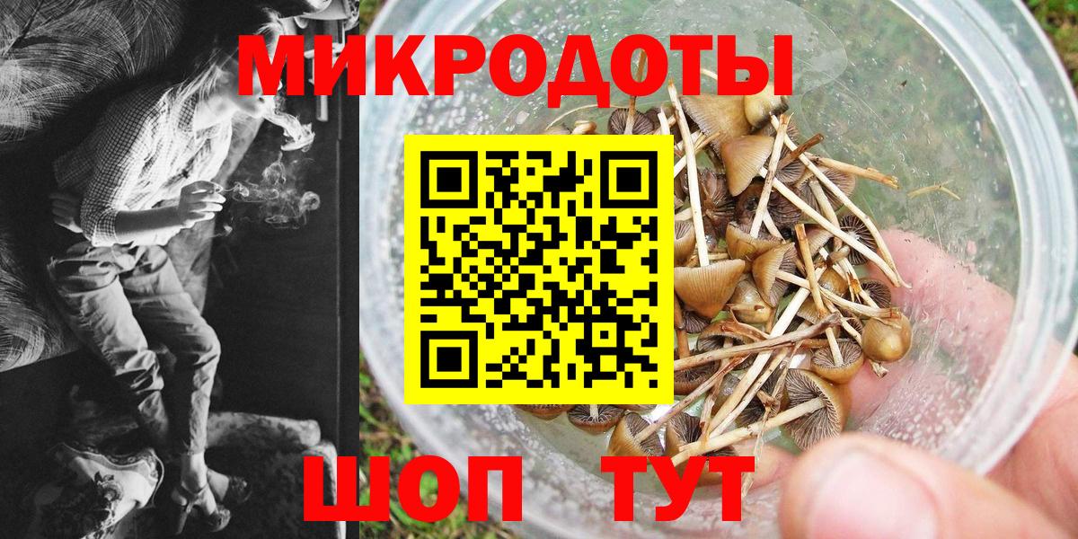 Псилоцибиновые грибы прущие грибы Симферополь